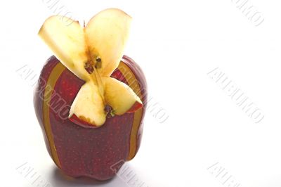Butterfly Apple