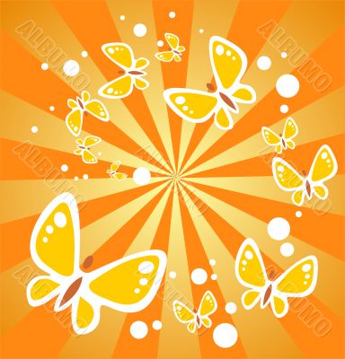butterflies and beams
