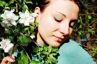 Among apple tree