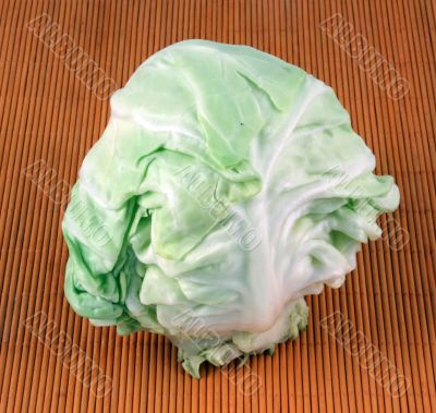cabbage
