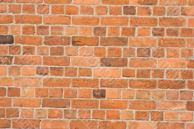 the wall