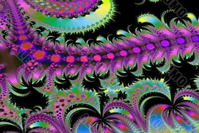 Pattern