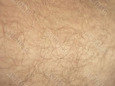 skin backgroung