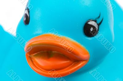 Blue plastic duck