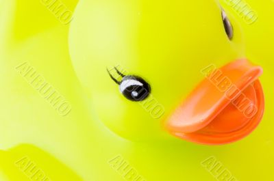 Yellow plastic duck