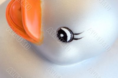 Plastic duck