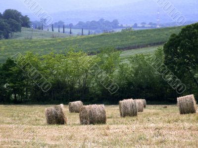 Rural landscape