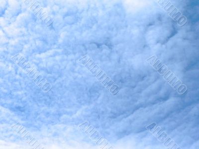 The sky in plumose clouds
