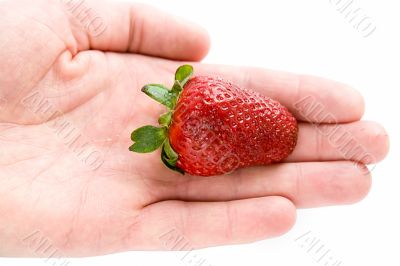 strawberry