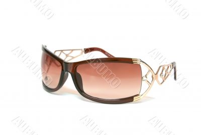Female sunglasses