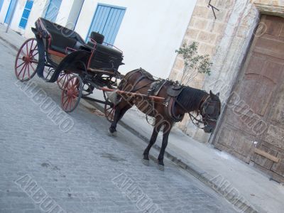 Colonial Horse Carriage