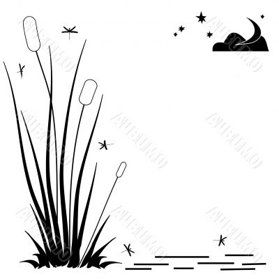 reedbed frame