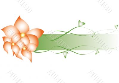 floral frame