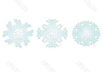 Three vector snowflakes