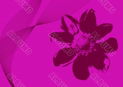 Flower Background