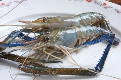 Whole raw prawns
