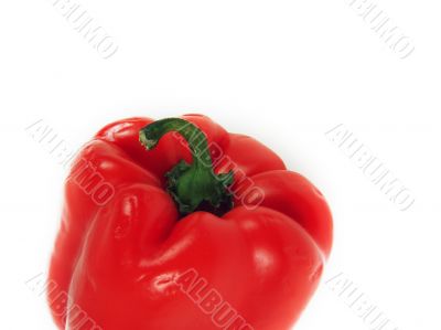 Sweet pepper