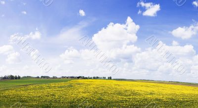 Rural panorama