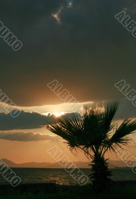Sunset on the beach