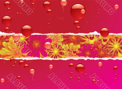floral bubble