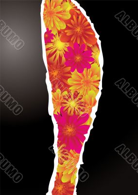floral rip