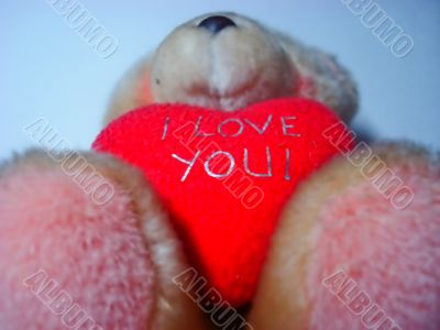 love teddy bear