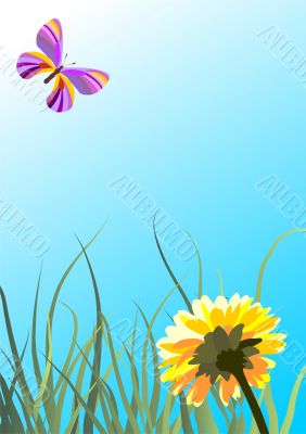 butterfly in the sky and flower