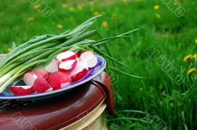 Picnic