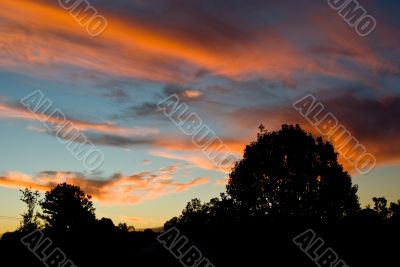 Spectacular Cloudy Sunset over the trees