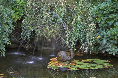 Picturesque fountain-snail.