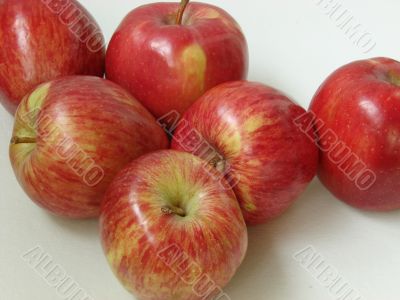 Ripe apples