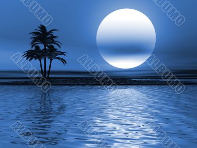 Palm tree landscape