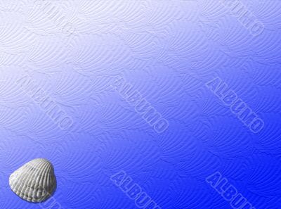 Shell background