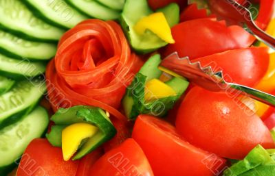 Vegetables for salad