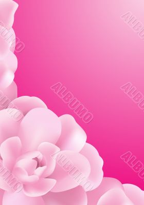 Pink Background
