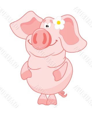 Pig_with_flower