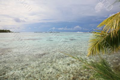 tropical sea