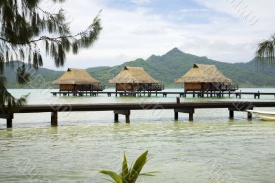 tropical bungalows