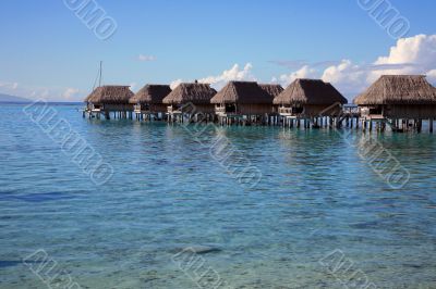 Polynesia tropical