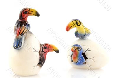 birth of birds