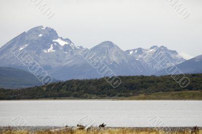 snowy mountains