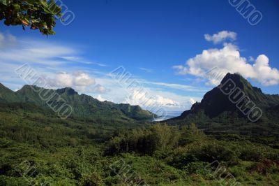 landscape Polynesia