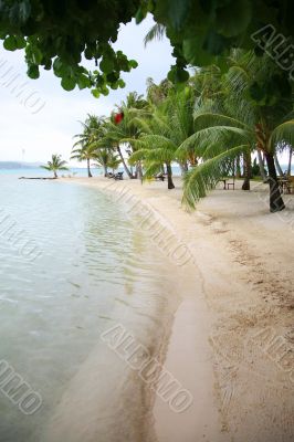 exotic tropical beach