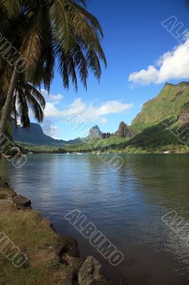 landscape polynesia