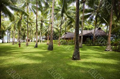 tropical resort