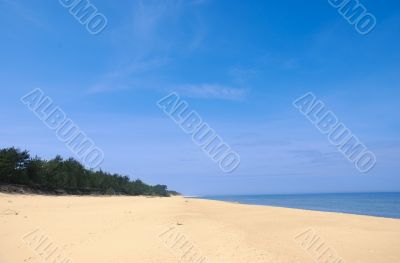 wide empty summer beach