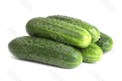 Five green cucumbers