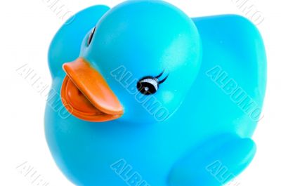 Blue plastic duck