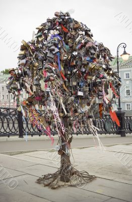 padlock tree