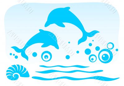 two dolphins